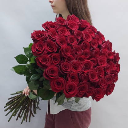 51 высокая роза 80 см Эксплоуэр