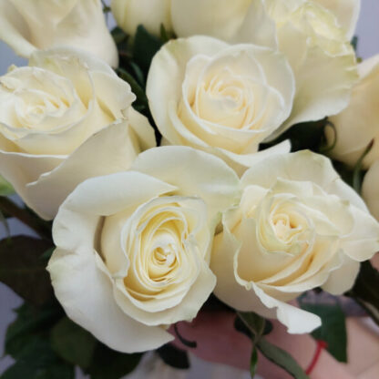 15 белых роз Мондиаль 60см с бантом