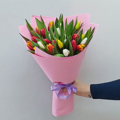 25 тюльпанов разных цветов