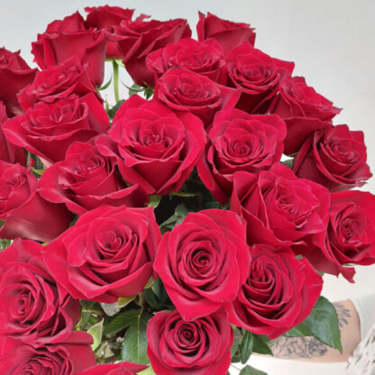 25 высоких Эквадорских роз