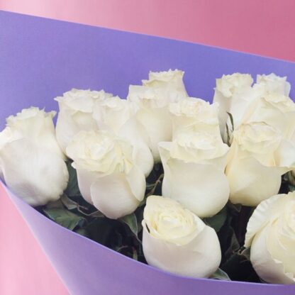 25 белых Эквадорских роз 60 см в оформлении