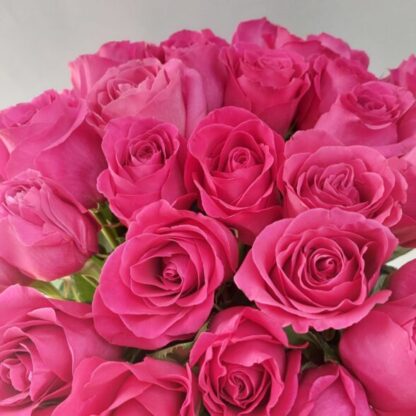 51 розовая Эквадорская роза 60см