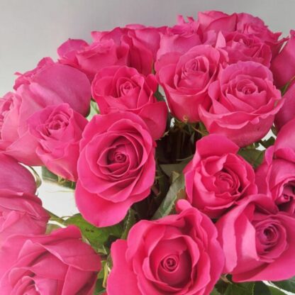 35 розовых Эквадорских роз 60см
