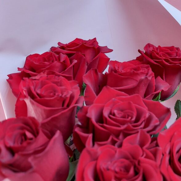 Букет из 15 красных Высоких роз 100см Эквадор в оформлении за 4600 руб. ? доставим до двери за 90 мин Primarosa - Доставка цветов в Челябинске